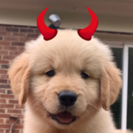 Devil