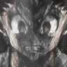 Xxmb