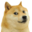 Doge (2)
