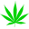 420 yolo swag blaze it fuck the popo legalize it anyone got some chips