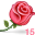 Valentine's Day 2015