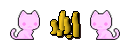 Chloe Donor