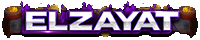 ELZayaT